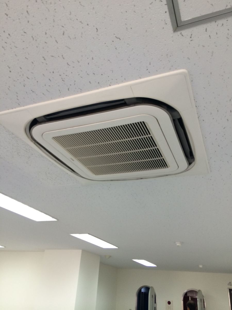 v20250601150545/fresh/building/J00100385987_14