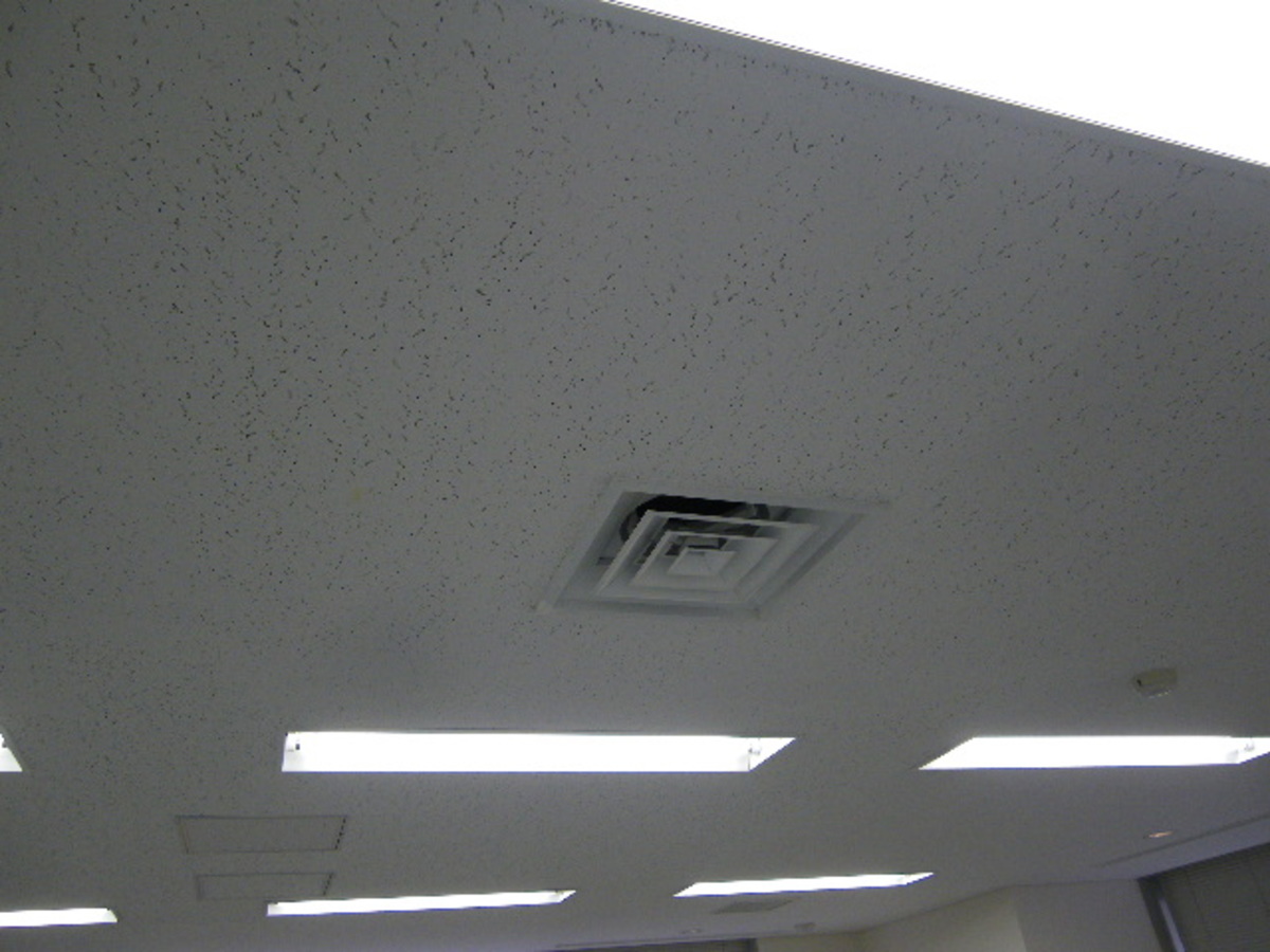 v20250714150702/fresh/building/J00100375745_12