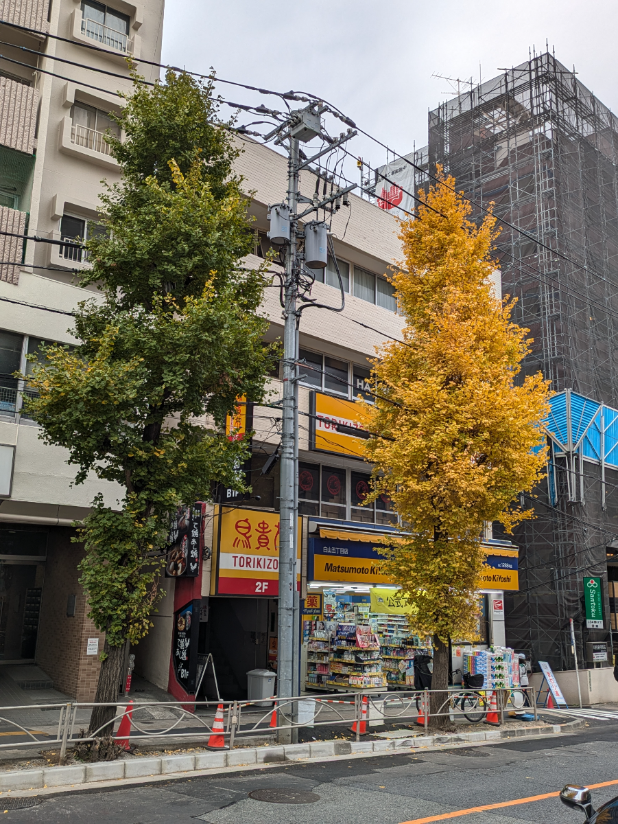 v20260131150803/fresh/building/J00100379133_8