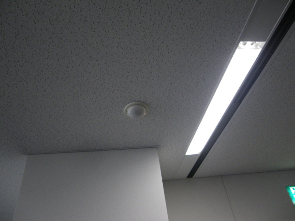 v20260430193353/fresh/room/J00102197648_5