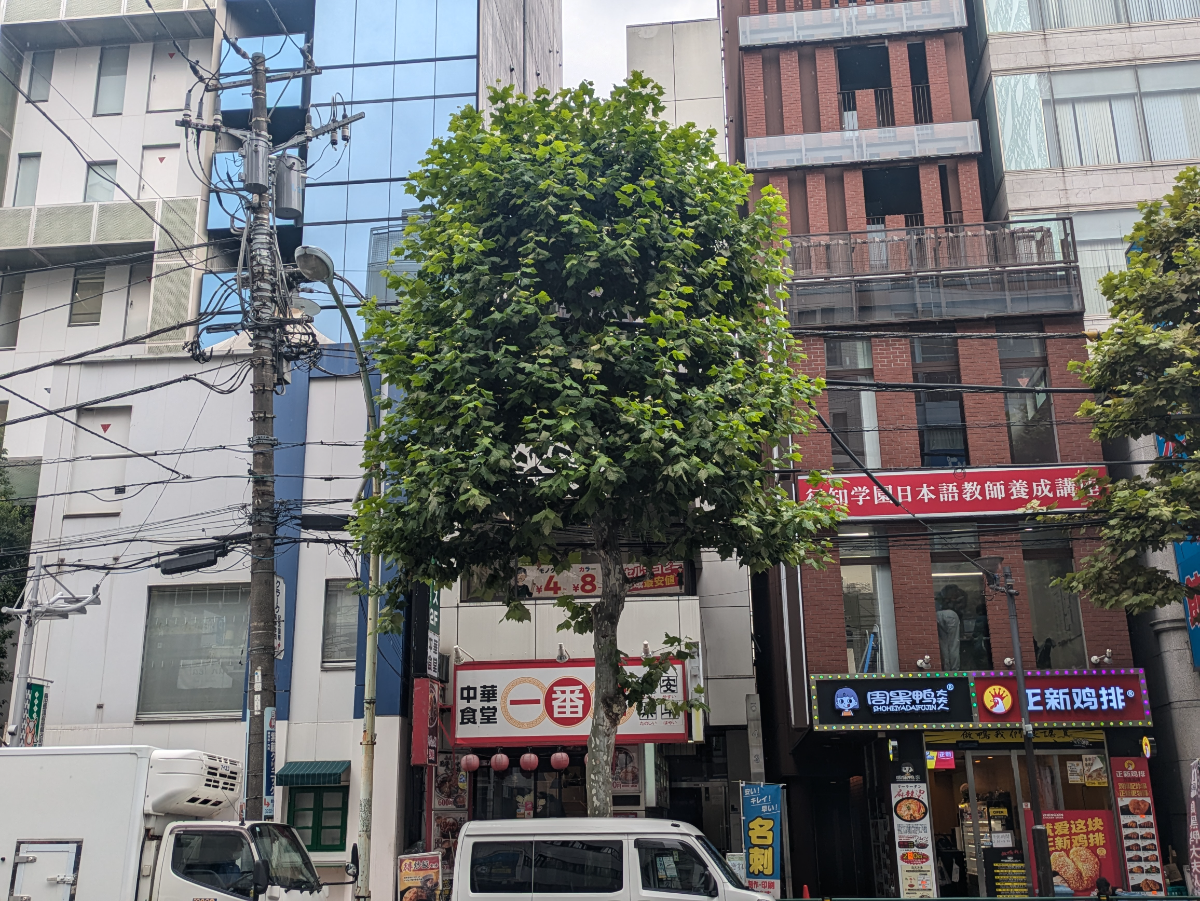 v20260529150859/fresh/building/J00100370592_8
