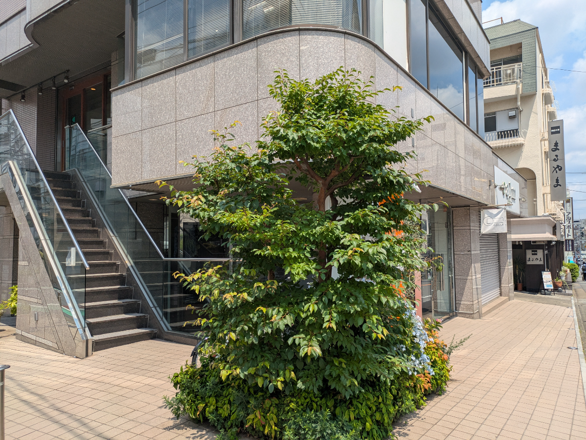 v20260701150807/fresh/building/J00100360417_10