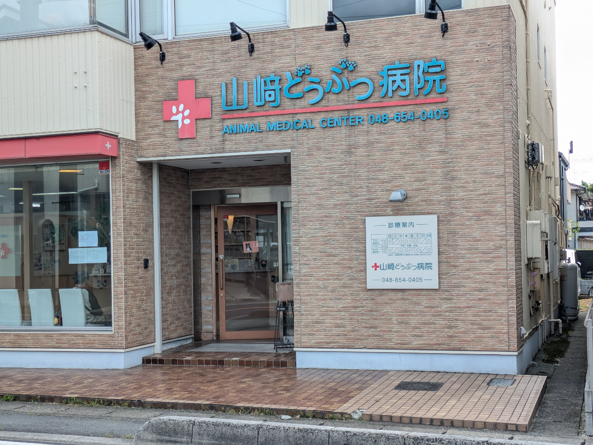 v20260703150756/fresh/building/J00100370295_3