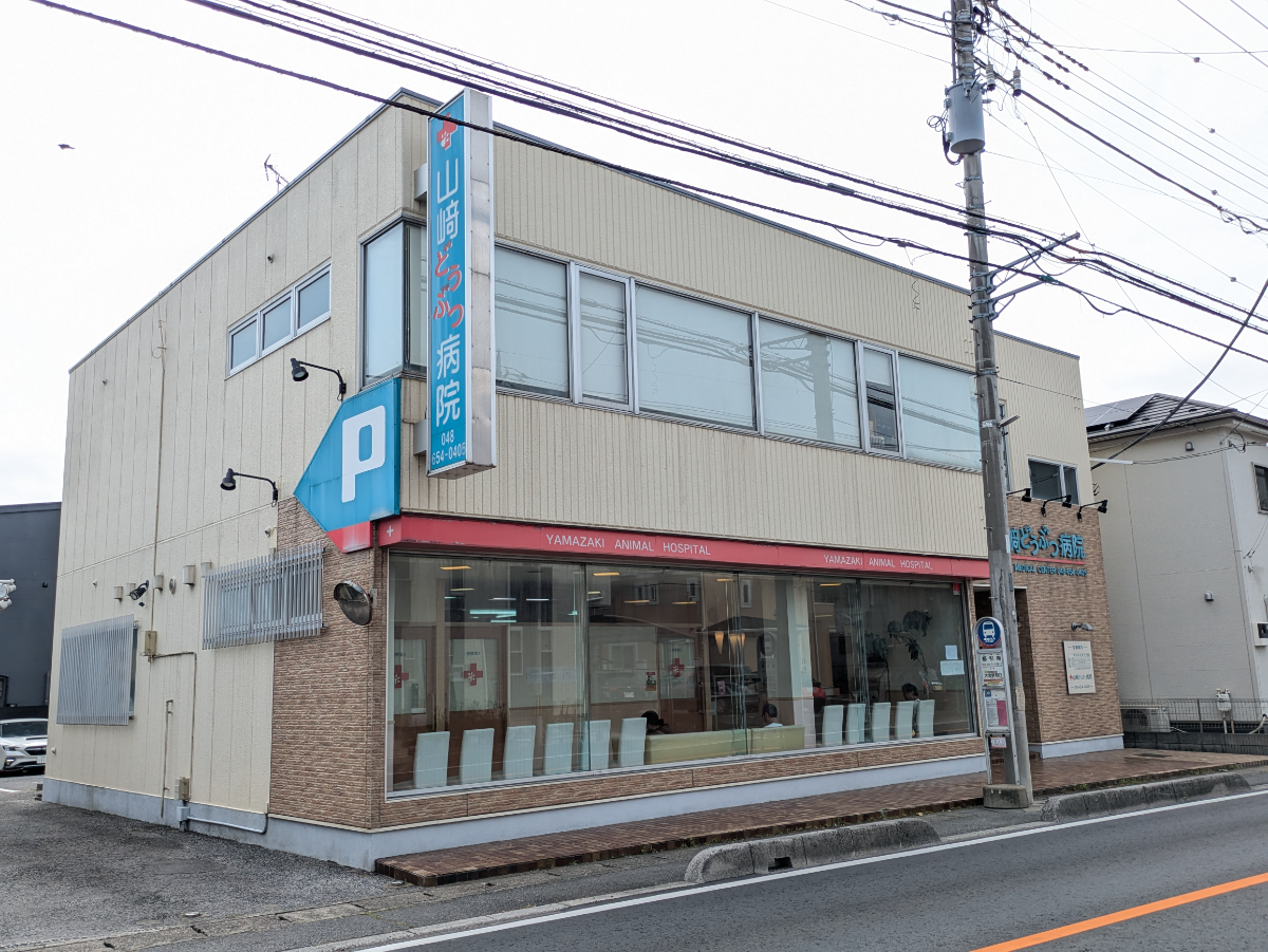 v20260703150756/fresh/building/J00100370295_6