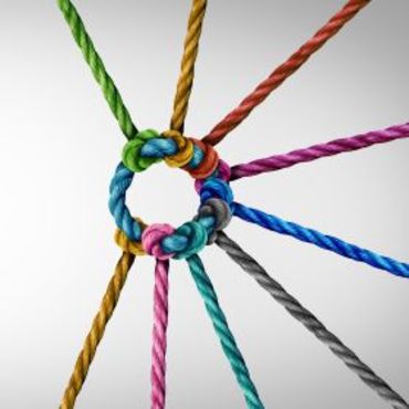 Lesbrief Brugfunctionaris en gezinsconsulent 