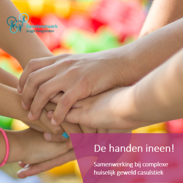 Rapport De handen ineen!: samenwerking bij complexe huiselijk geweld casuïstiek