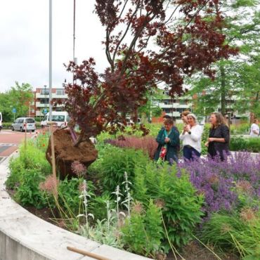 Samenwerking rondom Kansrijke Start gevierd