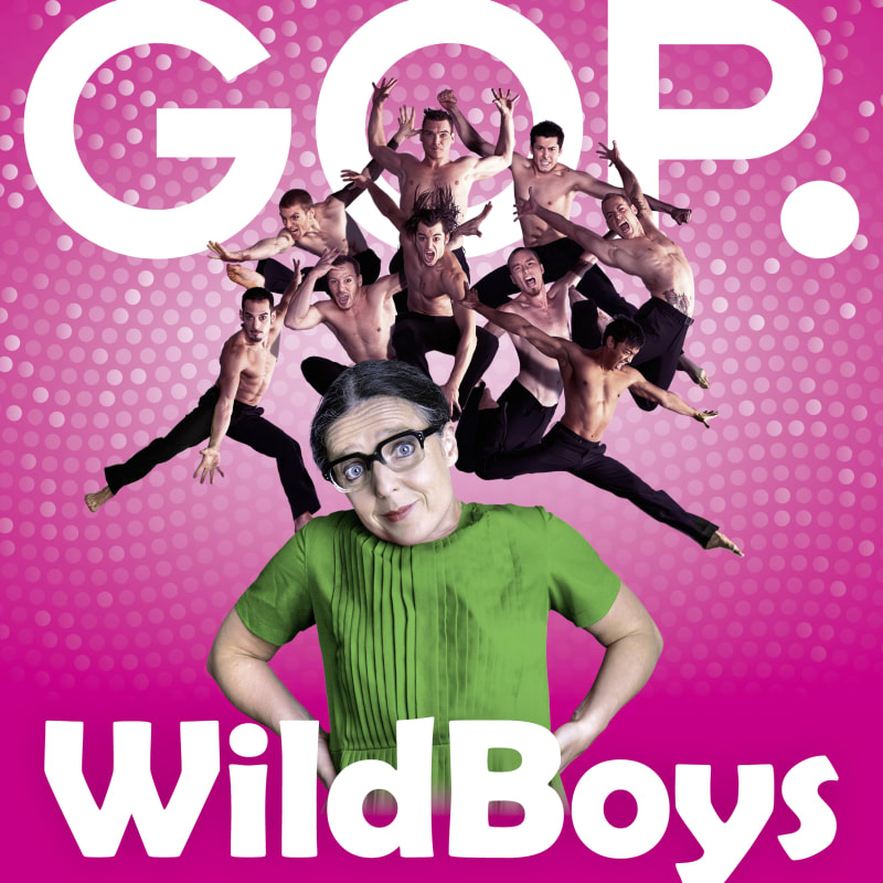 Showplakat WildBoys