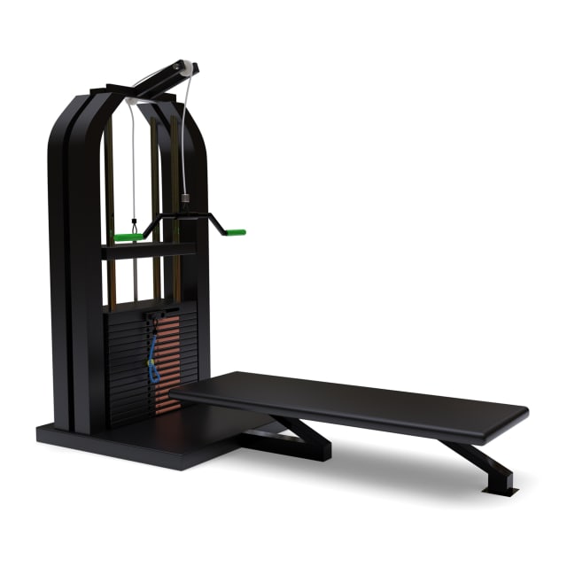 Disc Loading Lat Pulldown/Low Row Tower