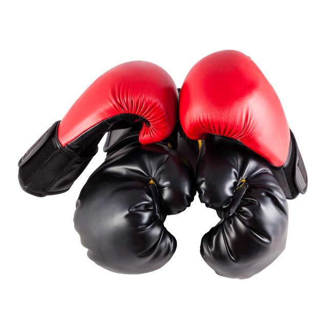 Pro-Style Training Gloves
