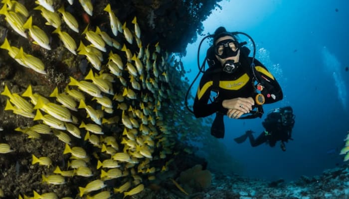 Image principal de Agence voyage premium