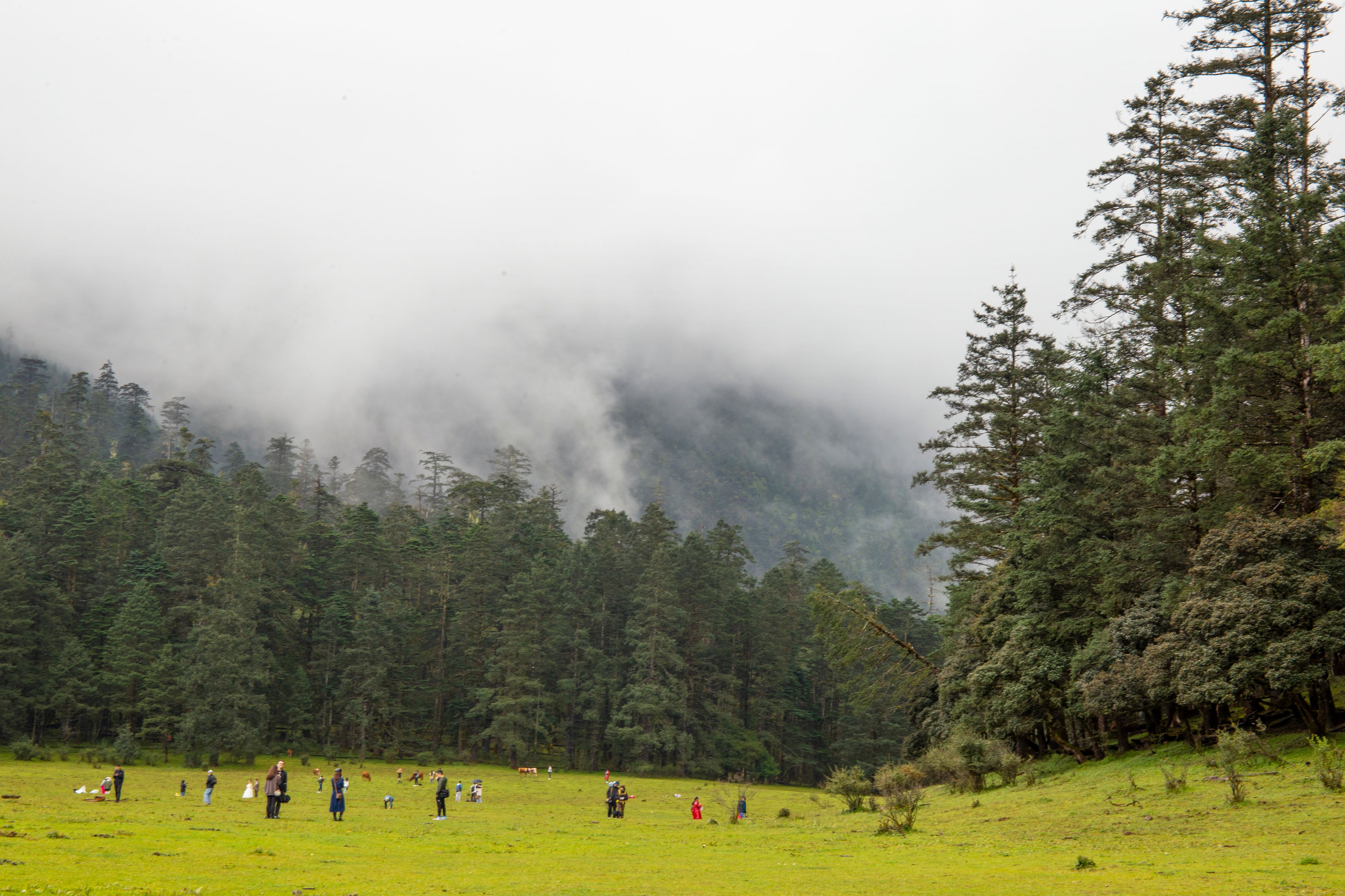 Majestic Himalayan Landscapes