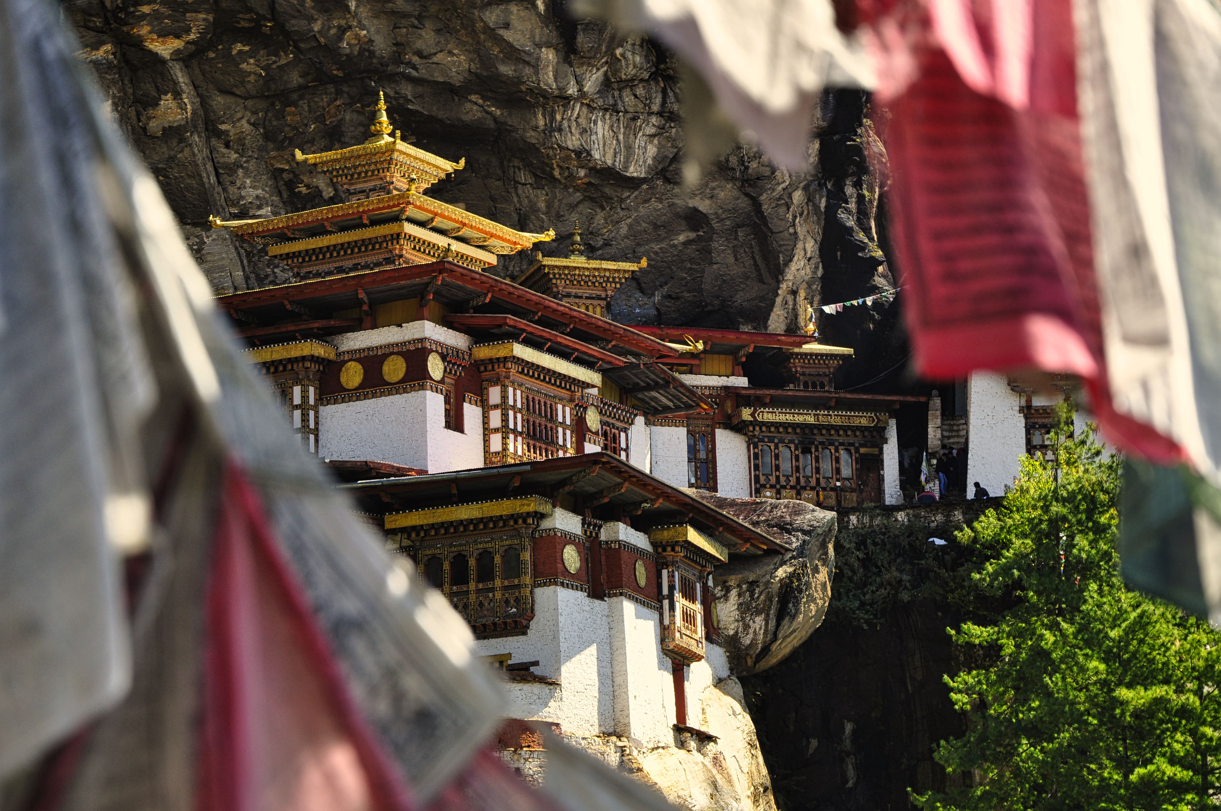 Discover the Land of the Thunder Dragon