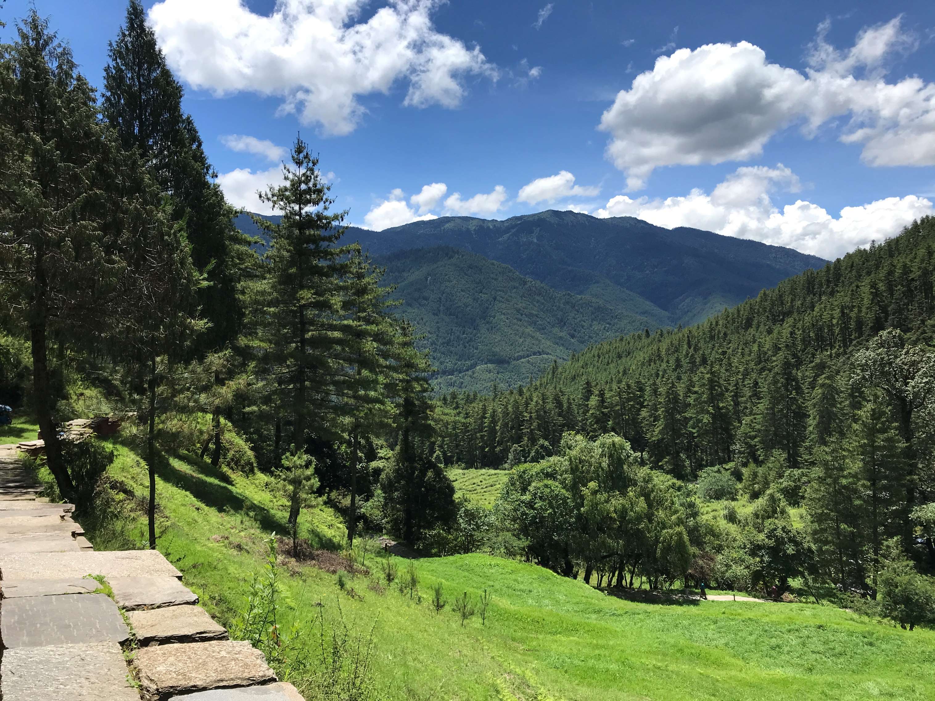 5 days in Bhutan