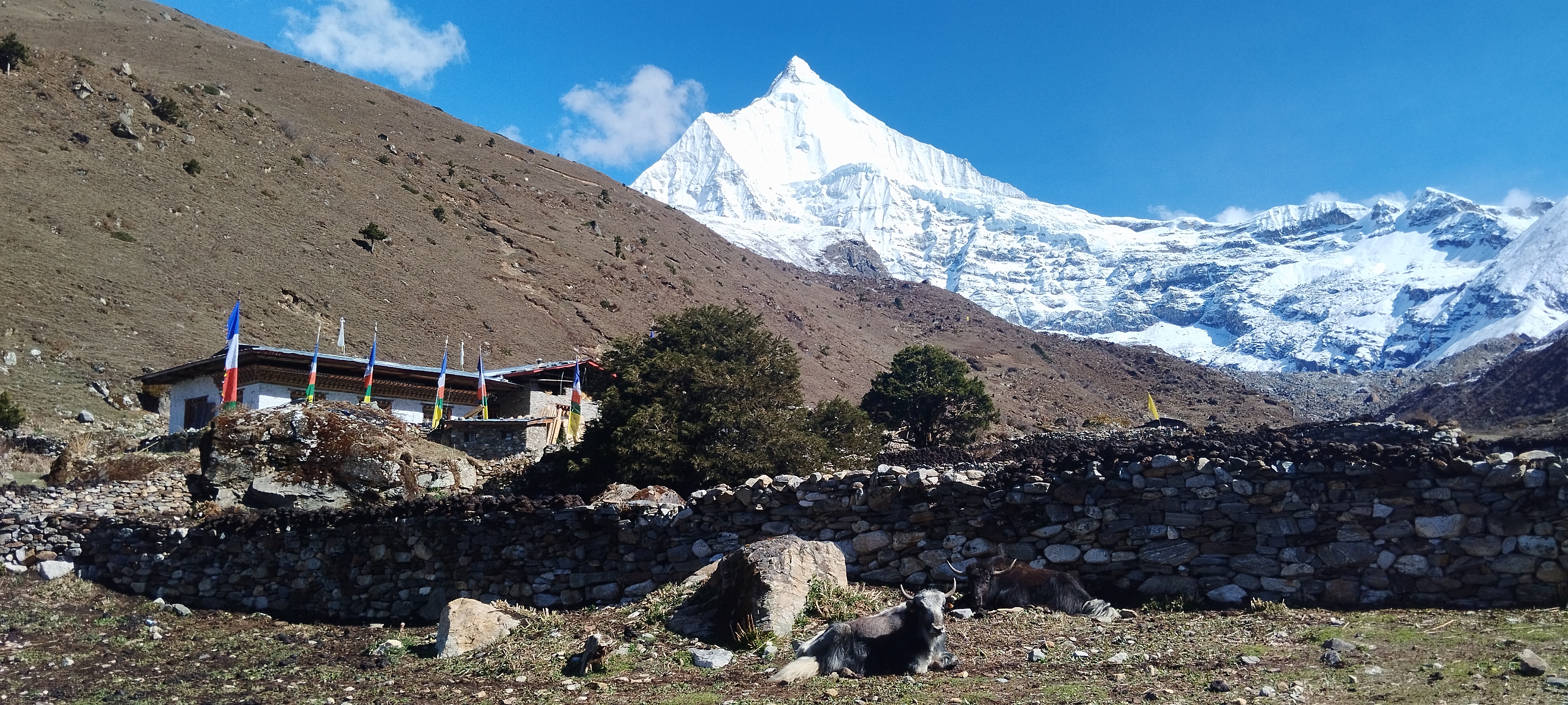 7 days - The Sacred Trail: Bumdra Trek to Tiger’s Nest