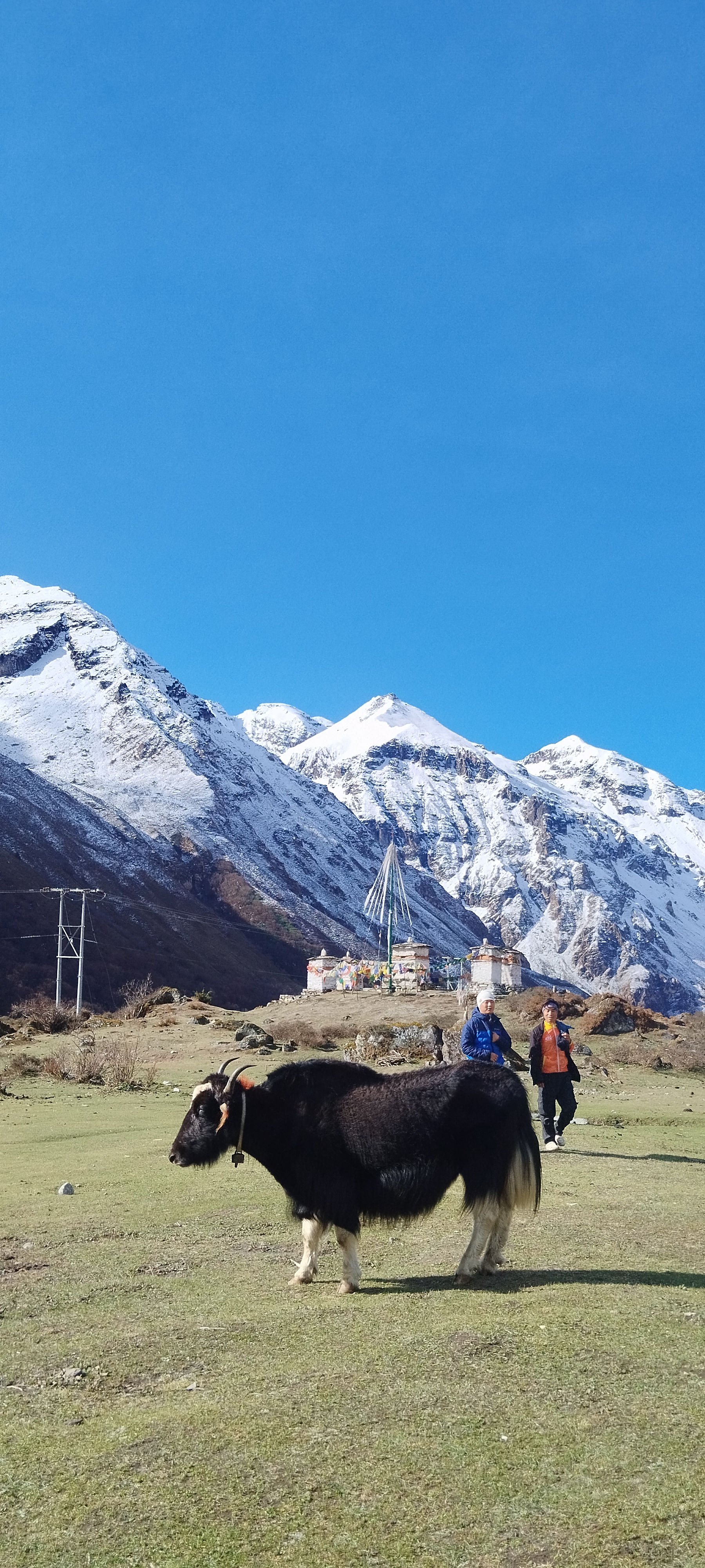 12 days Enchanting Jomolhari Trek