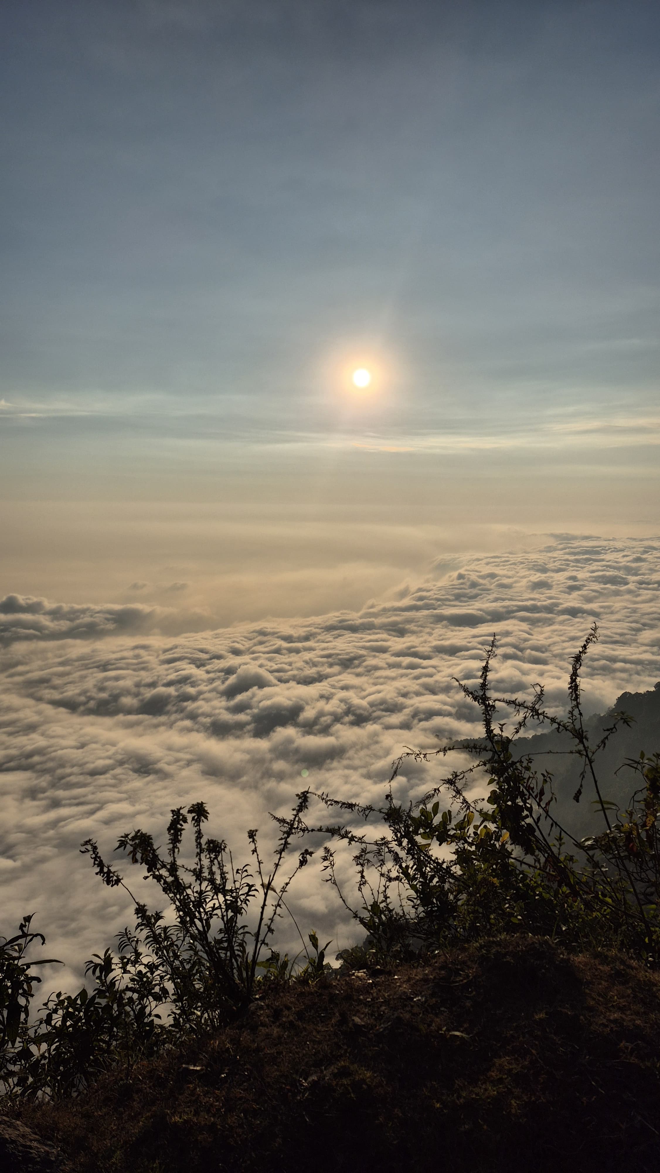 7 - Days Druk Path Trek gallery 2