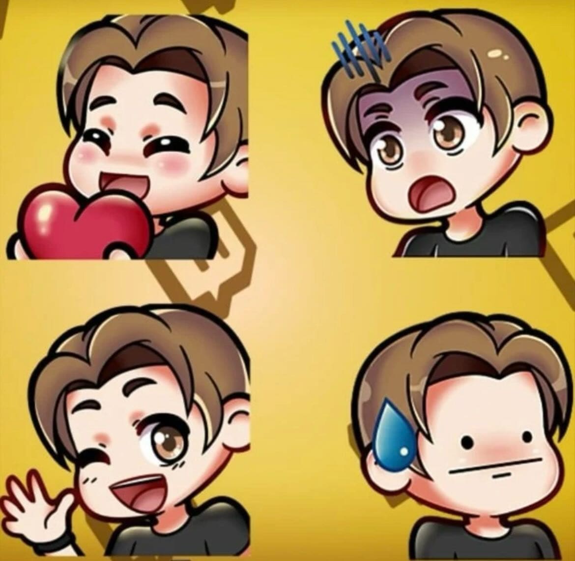 Emote 29 Emotes project