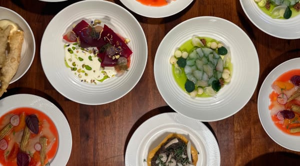 Fin social dining af Santana