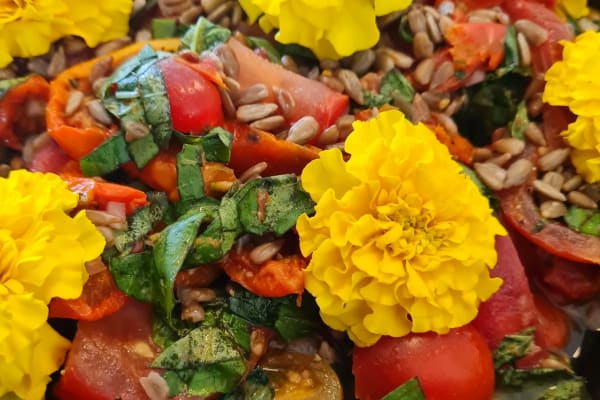 Den Grønne Sommerbuffet