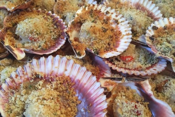 Italian menu of fish and passion
