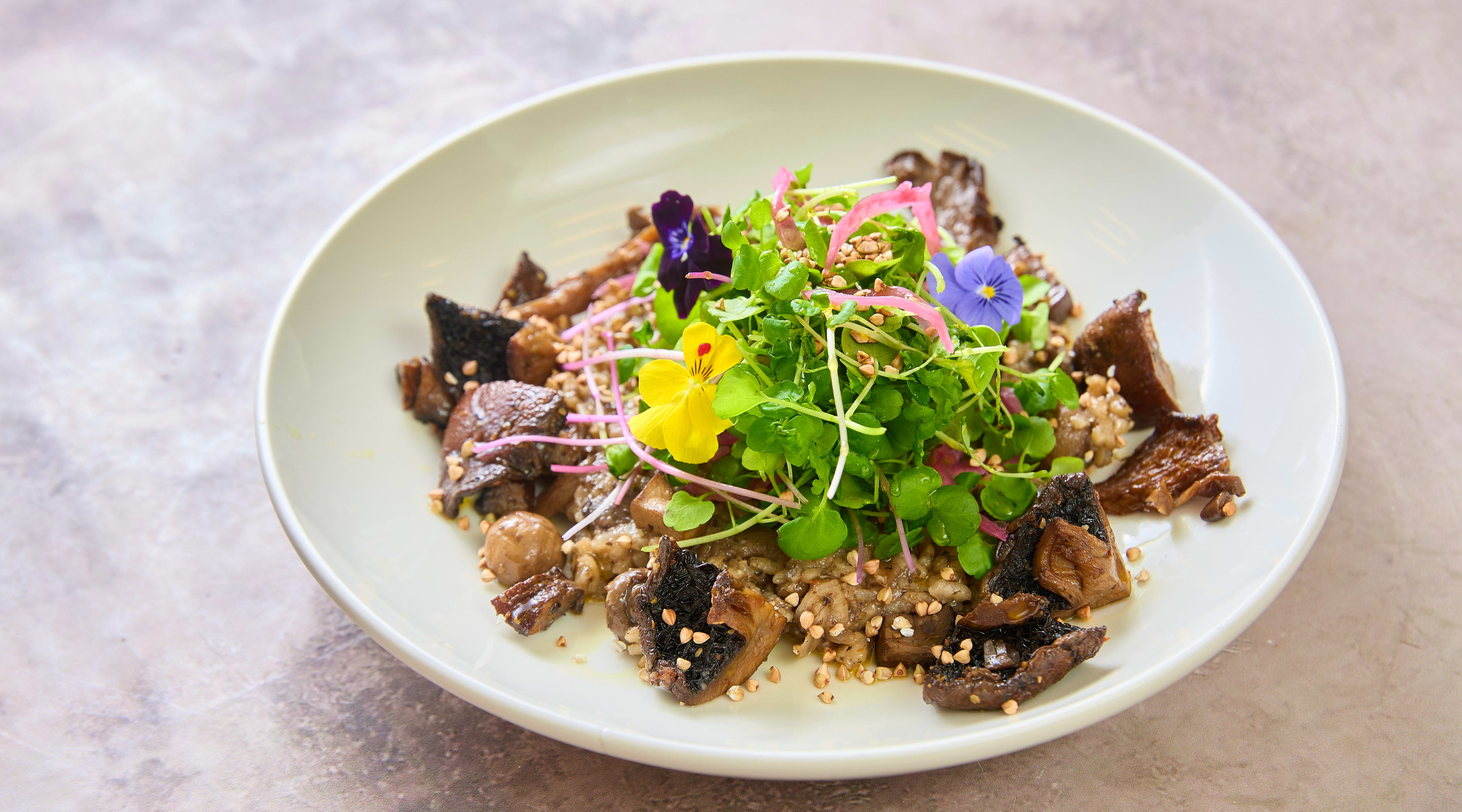 Plant-Based Gourmet