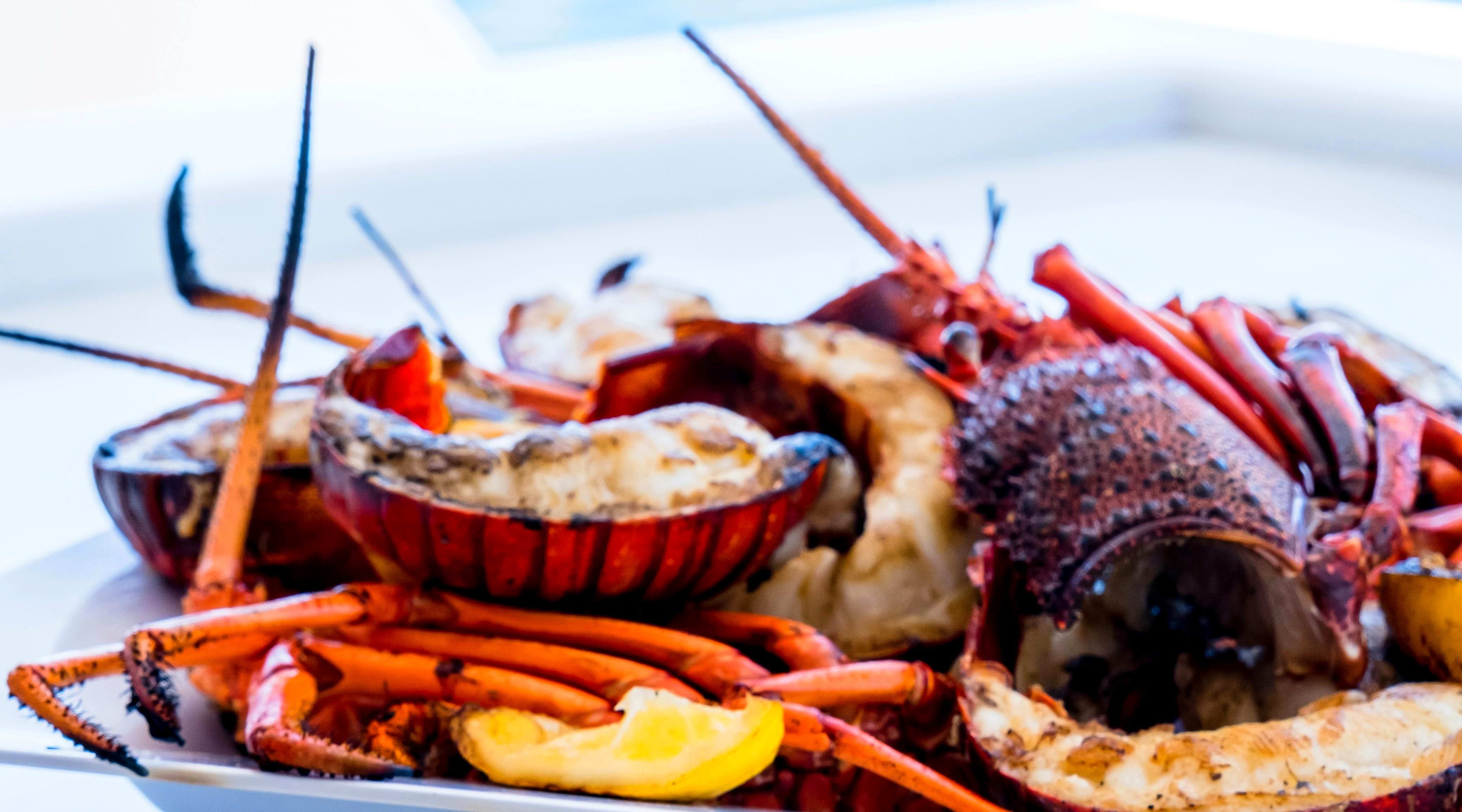 Sumptuous fish and seafood menu