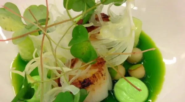 5-retters gourmetmenu