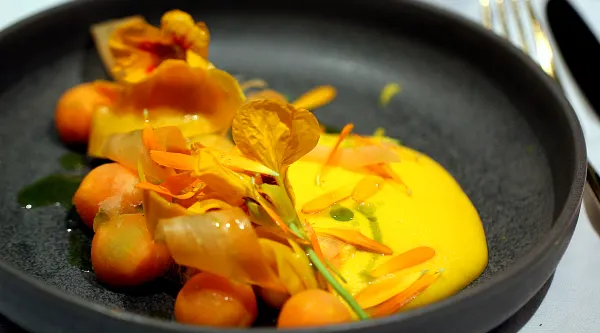 Green seasonal menu - 3 dishes