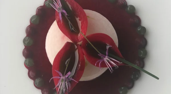 Gourmet menu