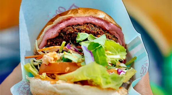 Falafel Bowl & Teriyaki Tempeh Burger organic