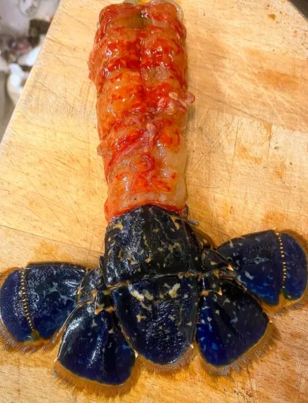 Den store gourmet aften