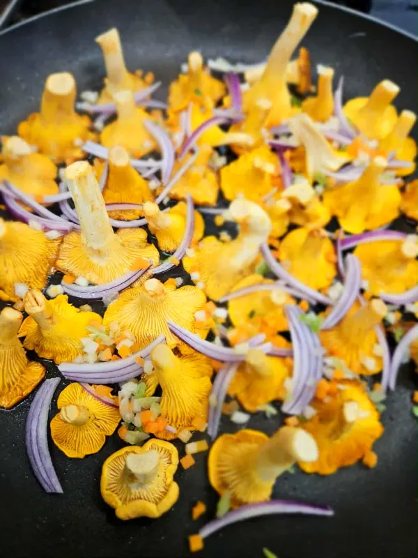 Season inspired menu - Autumn
