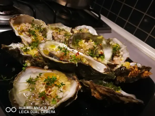 "that's how the menu could look like"