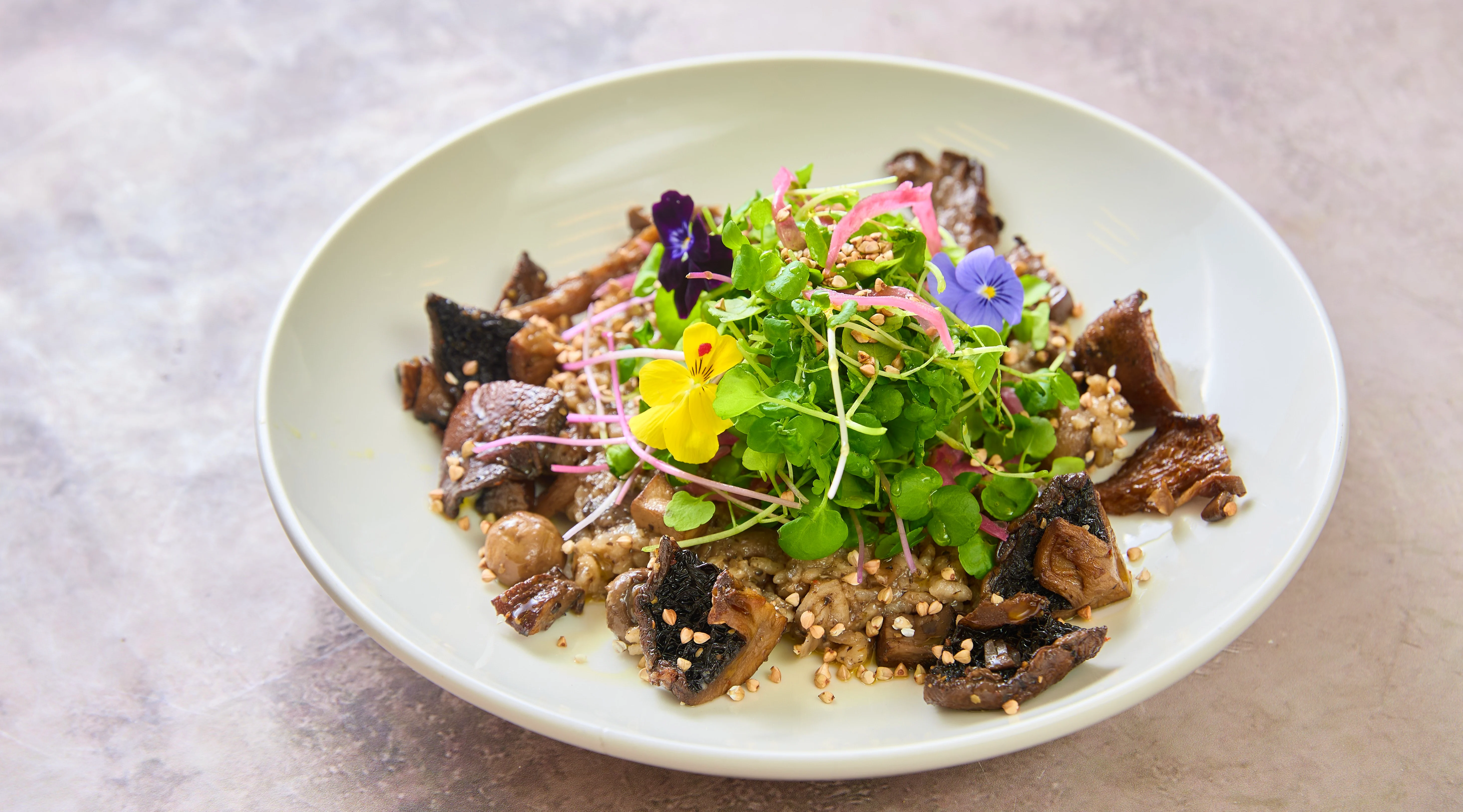 Plant-Based Gourmet