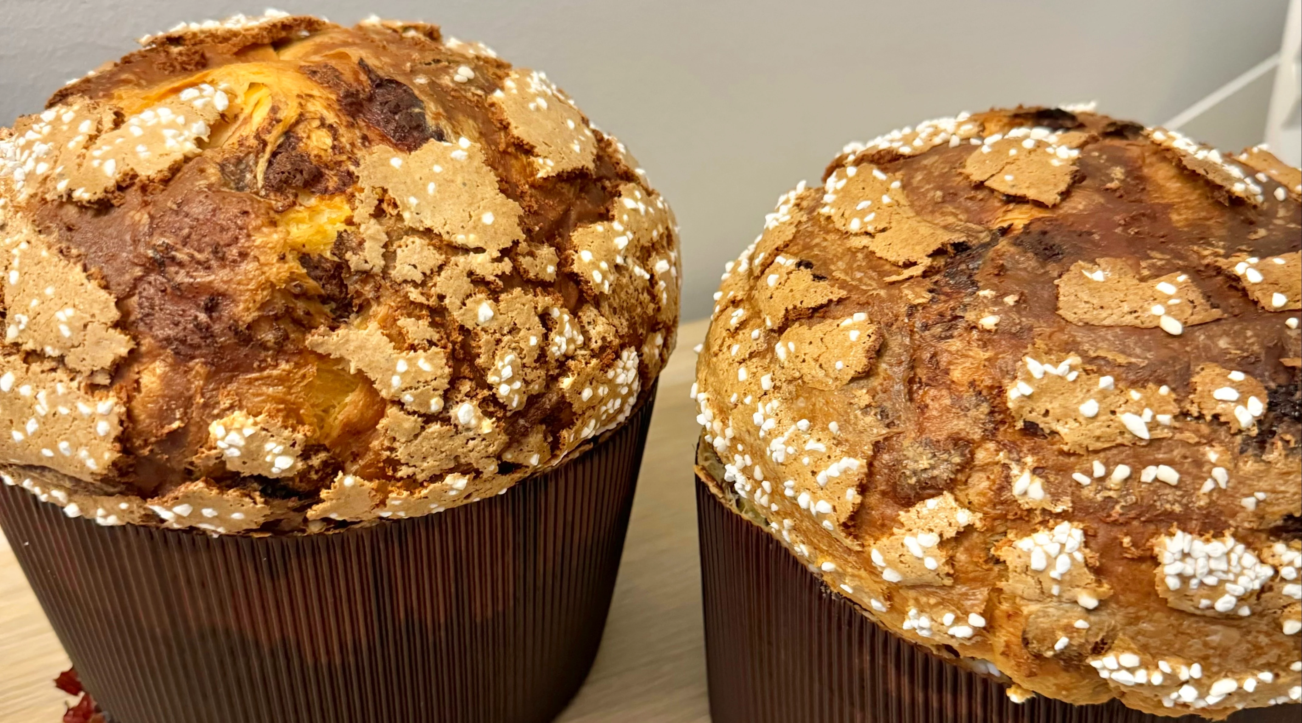 Italian Panettone