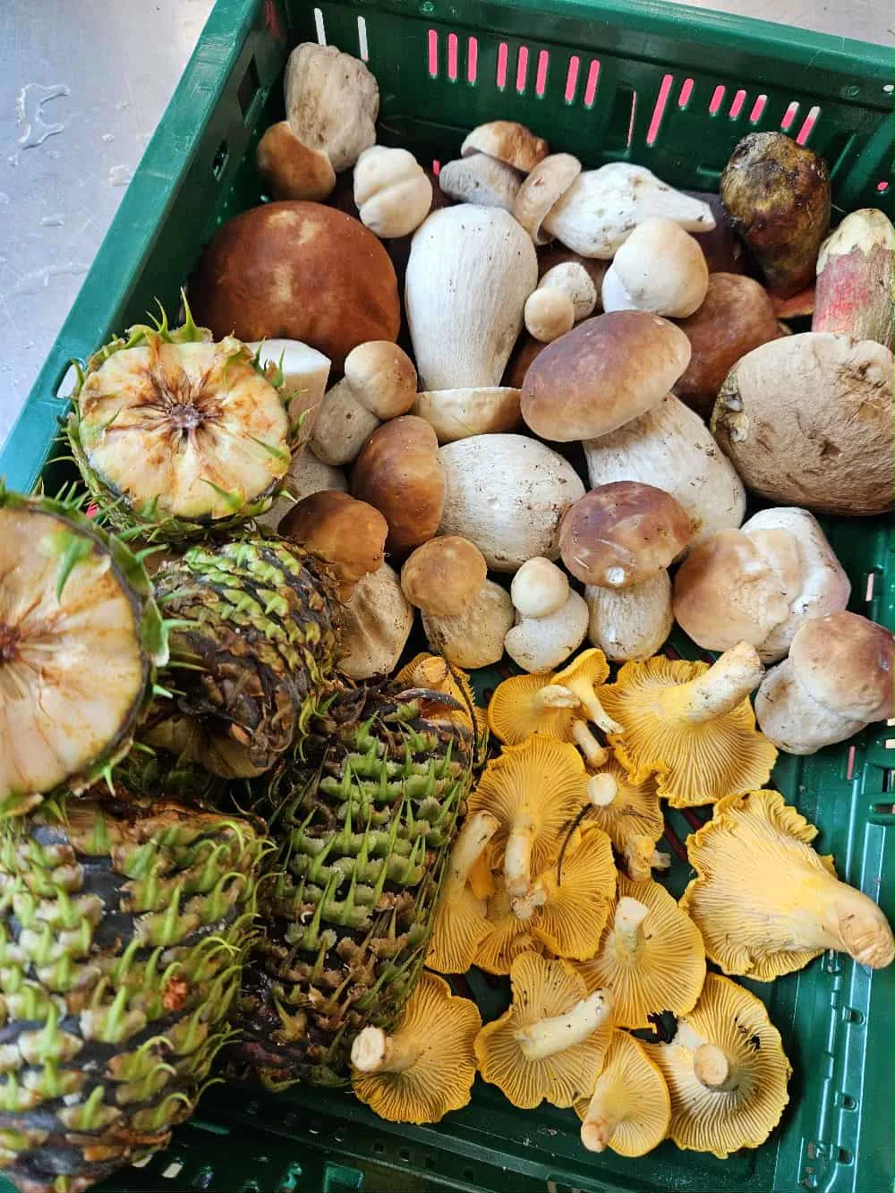 Season inspired menu - Autumn