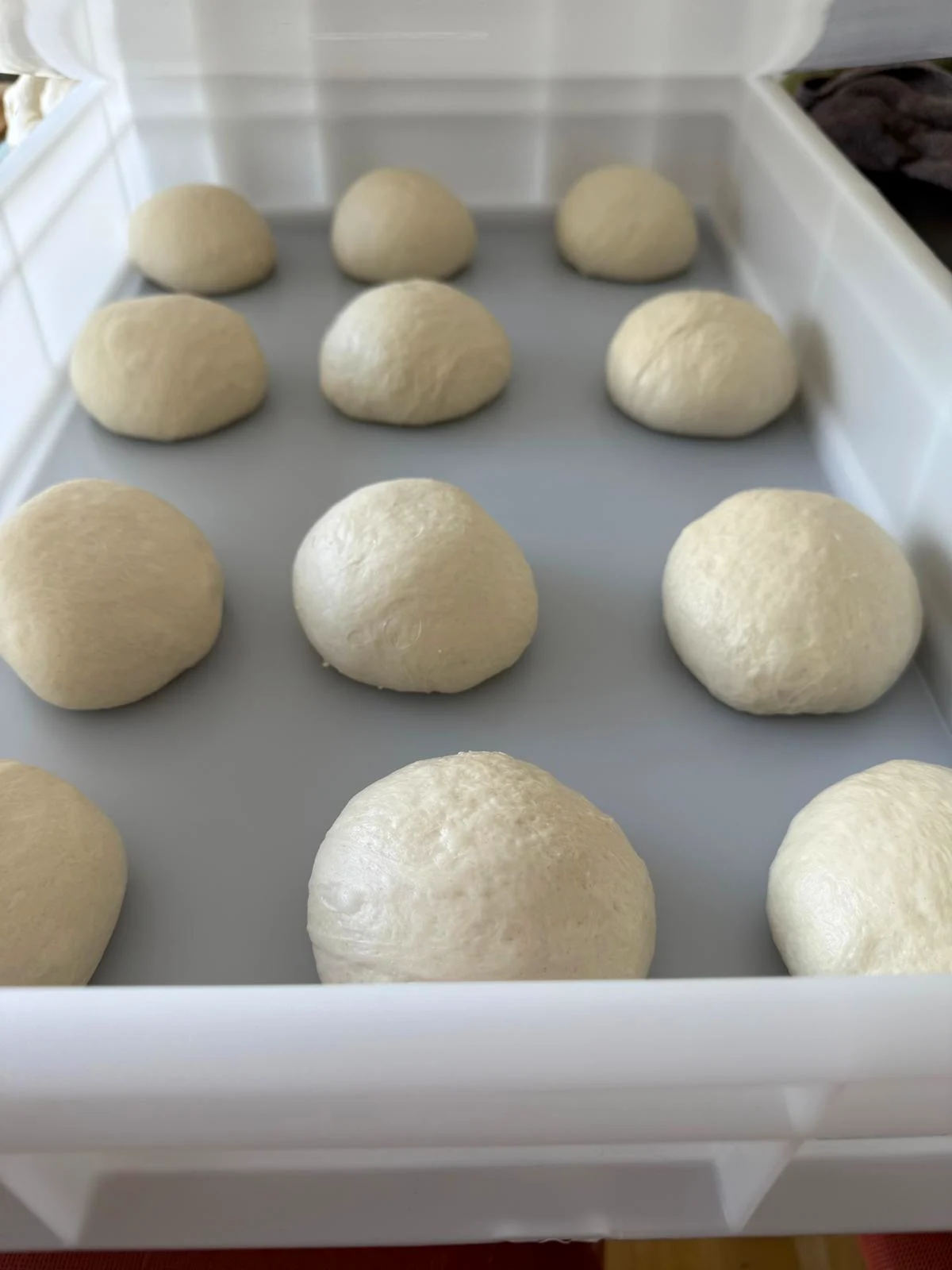 Italiensk Sommerbuffet (Grill og Pizza)