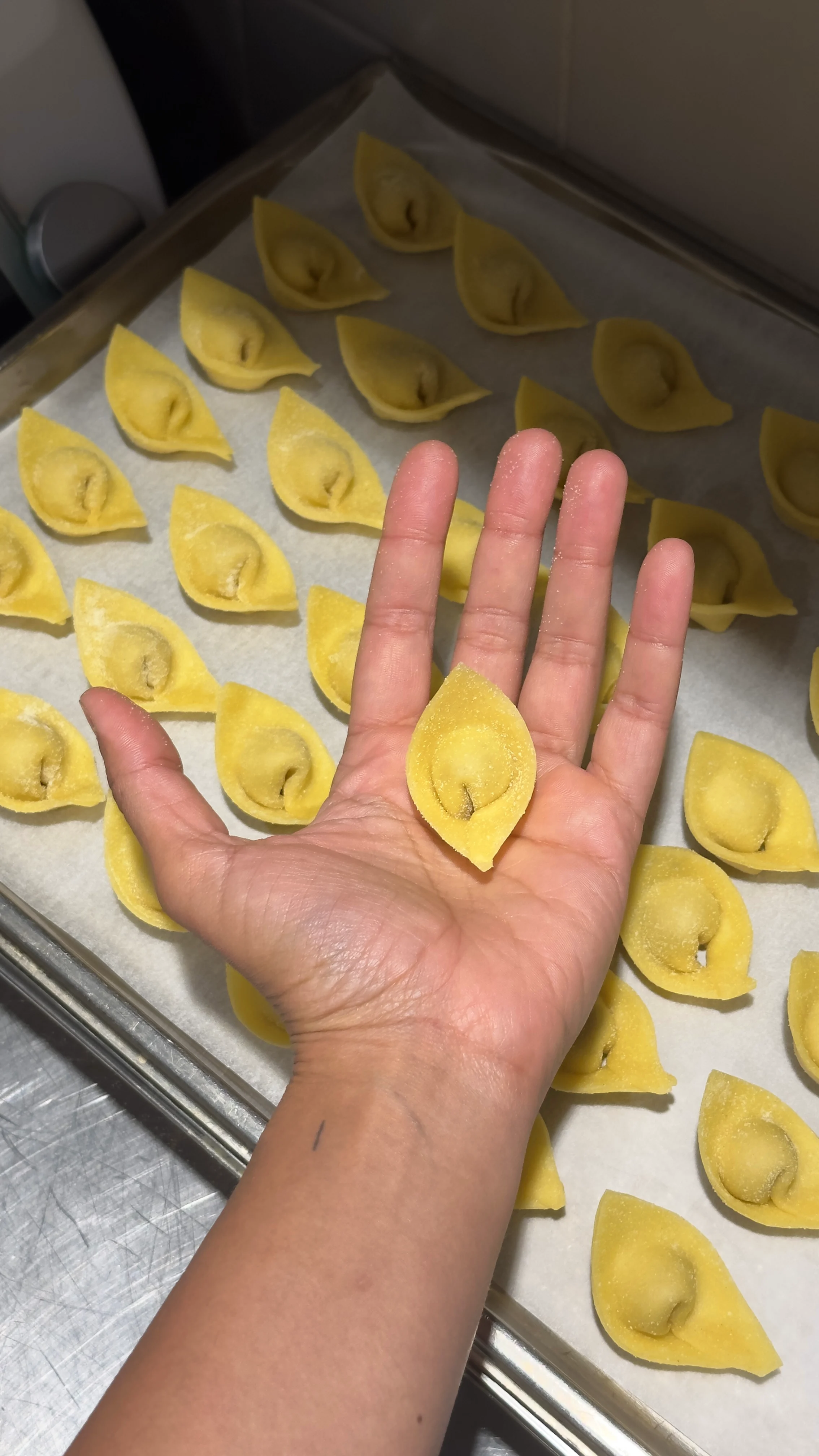 Arianna Estebania Victoria G.