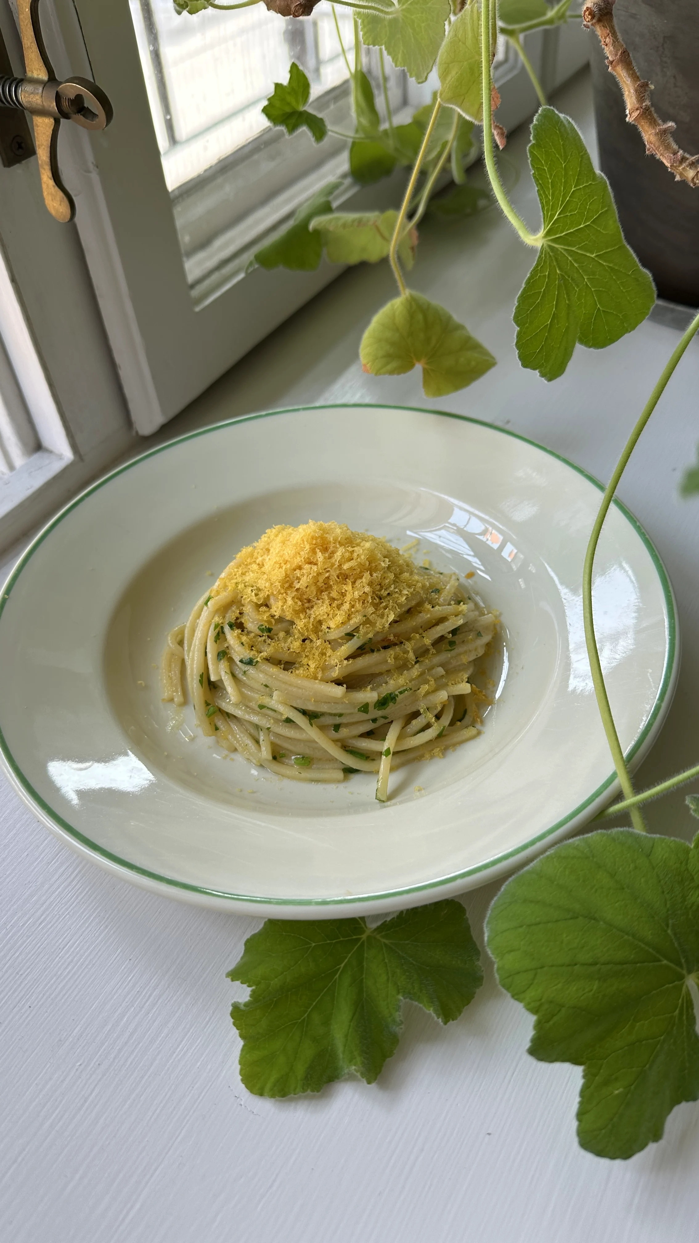 Arianna Estebania Victoria G.