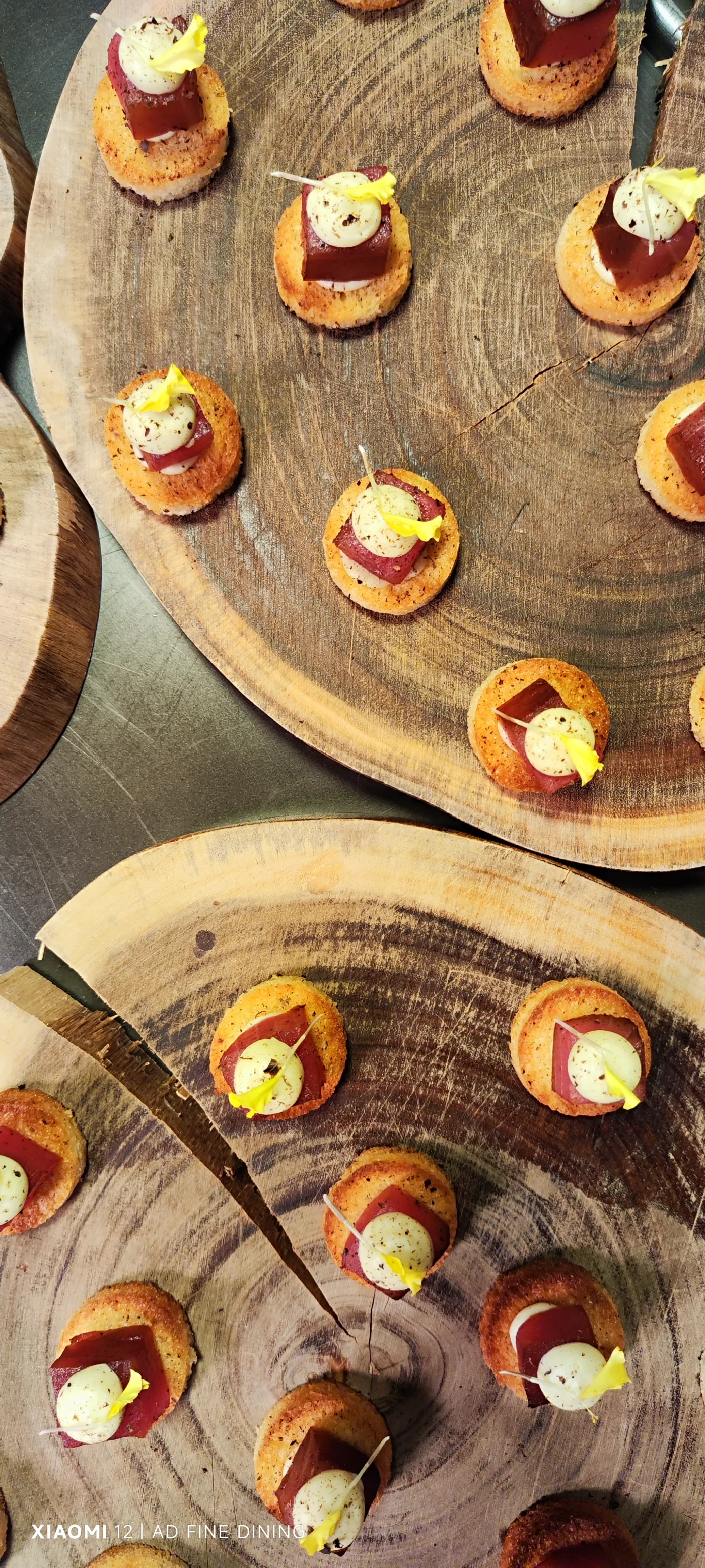 Canapés Catering