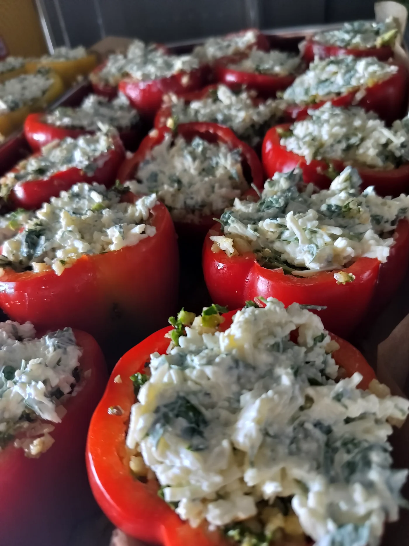 Festmiddag sharefood