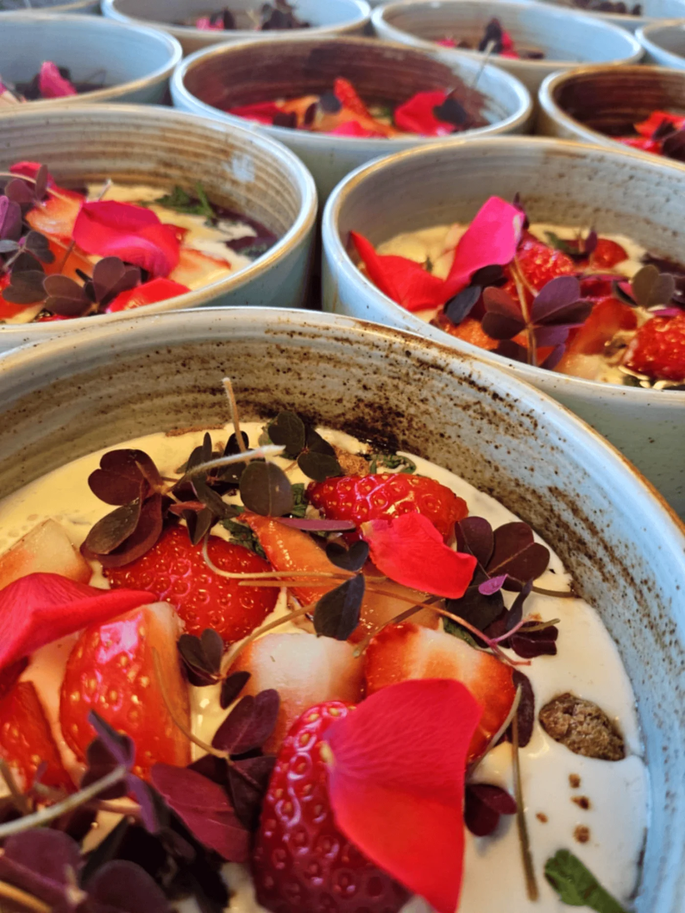 FUN DINNER/VÆLG EGEN MENU/ Can choose from 1 course to 3 course