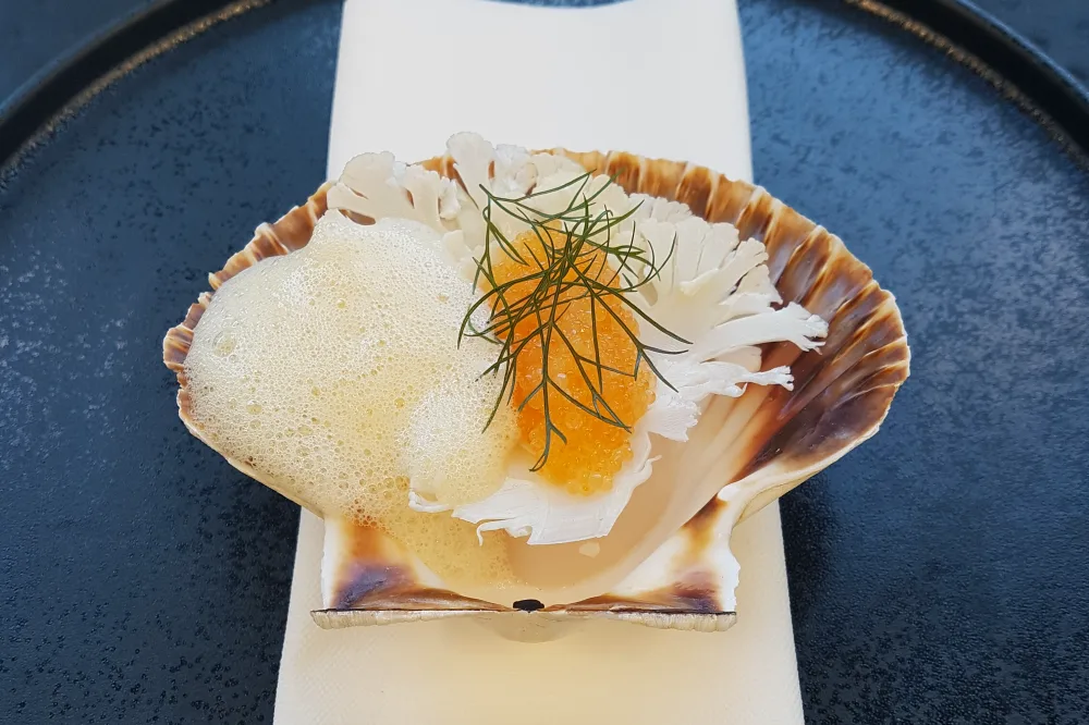 Gourmetmad i eget hjem - Inspiration til velsmagende mad