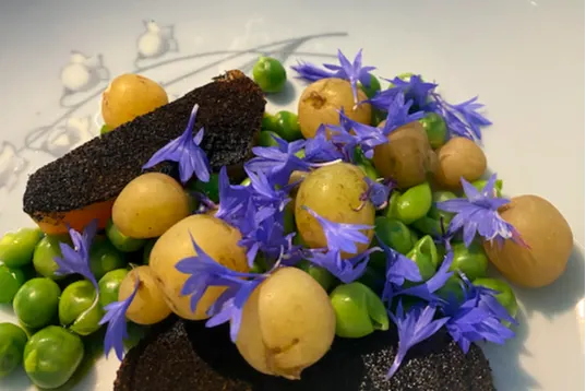 Åben menu