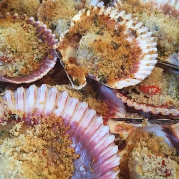 Italiensk menu af fisk og passion