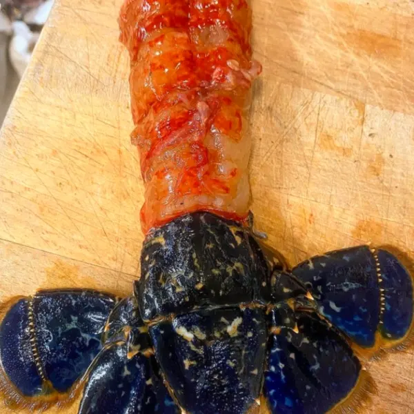 Den store gourmet aften