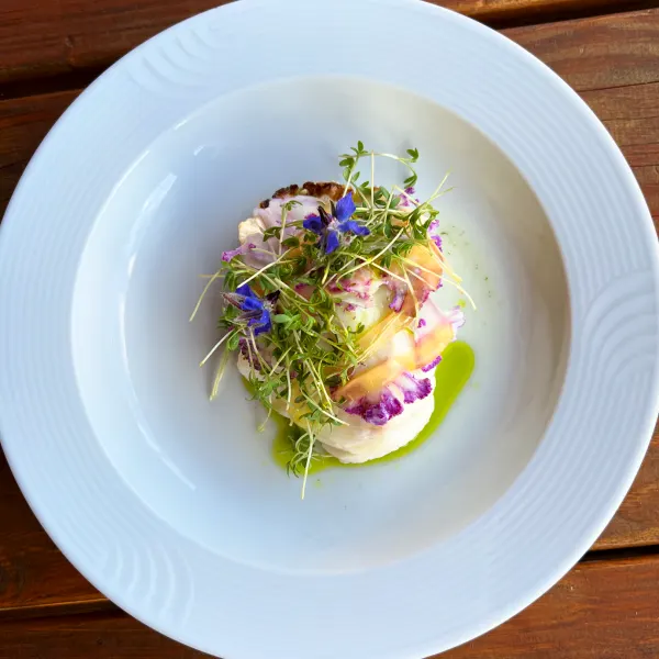5 retters sæsonmenu - en gastronomisk helaftensforestilling (august-september)