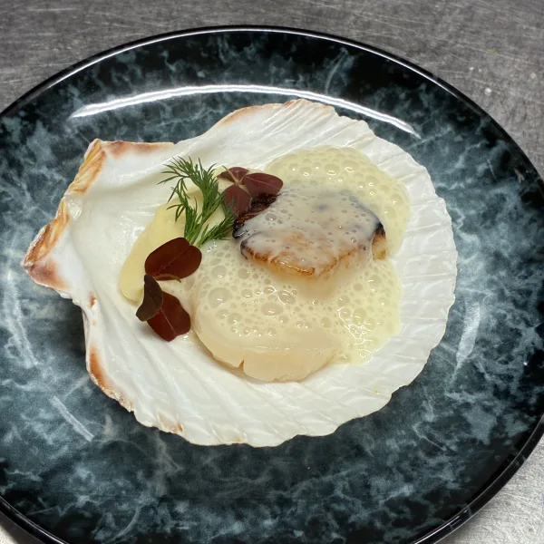 The Exclusive 11-course