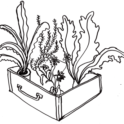 Illustration för Januari